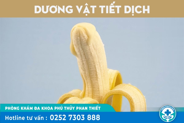 Dương vật tiết dịch là dấu hiệu của bệnh gì?